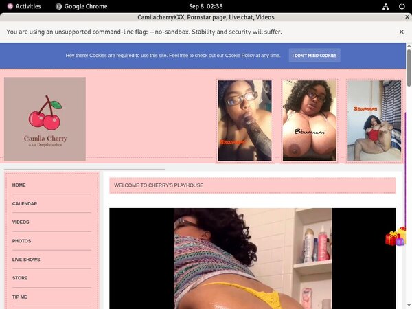 Camilacherryxxx.modelcentro.com Account Logins