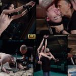 Videos Subspaceland Free