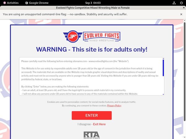 Evolved Fights Password Accounts