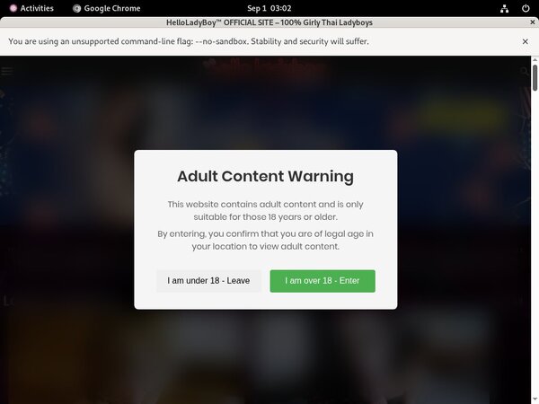 Free Porn Helloladyboy.com